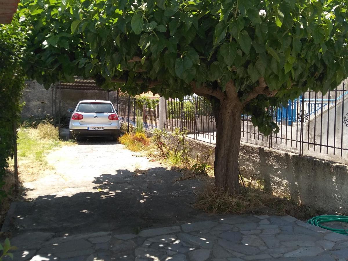 Ellina'S Home - Euboea Island Greece Oxílithos Dış mekan fotoğraf